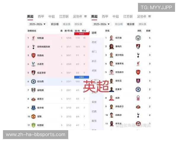 足球德甲联赛2024赛季积分榜及拜仁表现解析